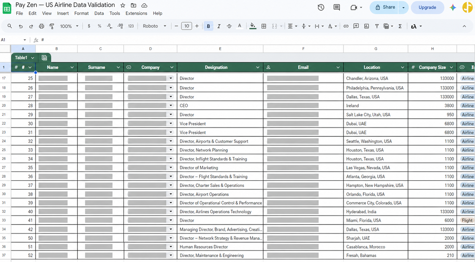 Redacted Pay Zen US airline data-validation spreadsheet